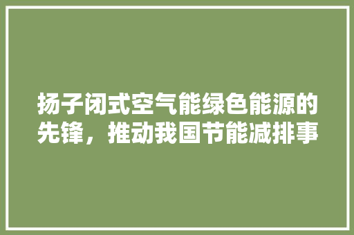 扬子闭式空气能绿色能源的先锋，推动我国节能减排事业的发展 翻新改色