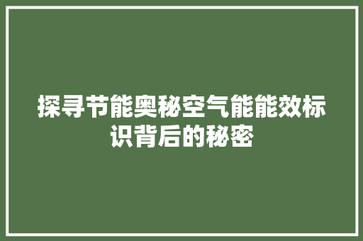 探寻节能奥秘空气能能效标识背后的秘密 冰箱