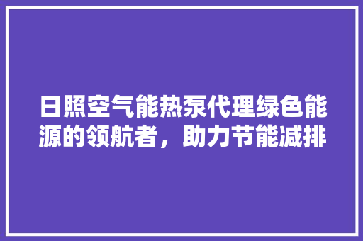 日照空气能热泵代理绿色能源的领航者，助力节能减排 家居维修