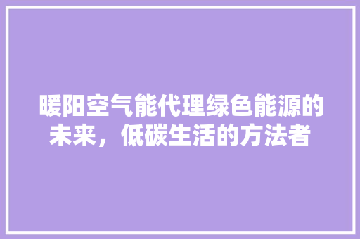 暖阳空气能代理绿色能源的未来，低碳生活的方法者 冰箱