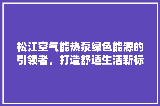 松江空气能热泵绿色能源的引领者，打造舒适生活新标杆 清洁保养