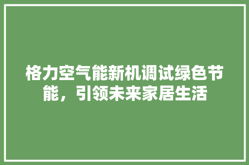 格力空气能新机调试绿色节能，引领未来家居生活 贴膜