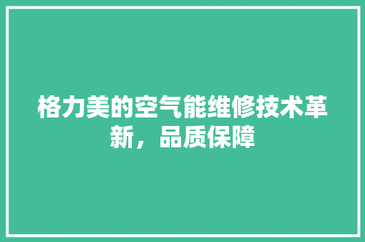 格力美的空气能维修技术革新，品质保障 贴膜