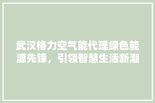 武汉格力空气能代理绿色能源先锋，引领智慧生活新潮流 局部翻新