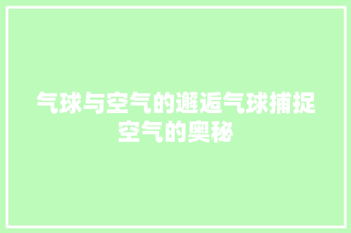 气球与空气的邂逅气球捕捉空气的奥秘 灯具安装