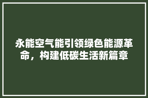 永能空气能引领绿色能源革命，构建低碳生活新篇章 旧房改造