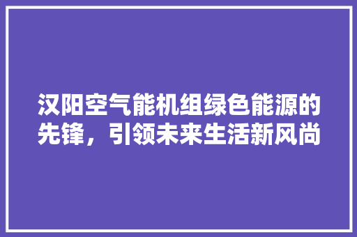 汉阳空气能机组绿色能源的先锋，引领未来生活新风尚 旧房改造