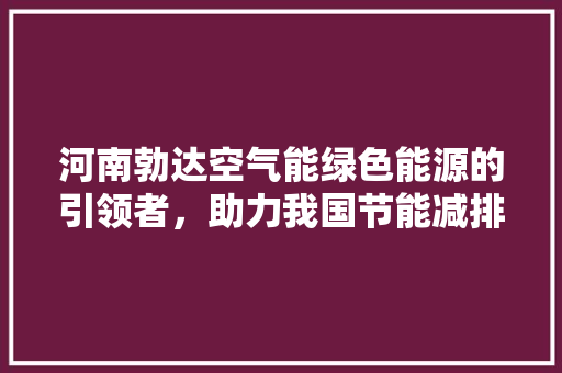 河南勃达空气能绿色能源的引领者，助力我国节能减排事业 洁具维修