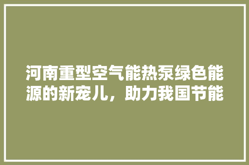 河南重型空气能热泵绿色能源的新宠儿，助力我国节能减排 清洁保养