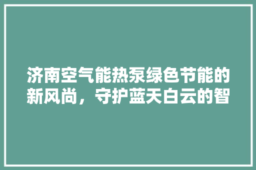 济南空气能热泵绿色节能的新风尚，守护蓝天白云的智慧之选 清洁保养