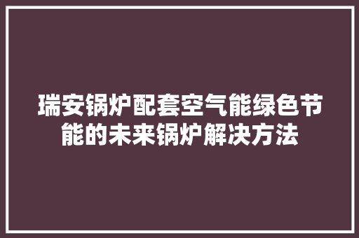 瑞安锅炉配套空气能绿色节能的未来锅炉解决方法 热水器