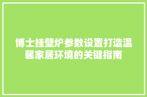 博士挂壁炉参数设置打造温馨家居环境的关键指南 局部翻新