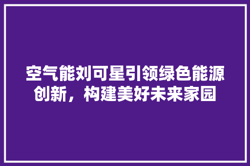 空气能刘可星引领绿色能源创新，构建美好未来家园 局部翻新