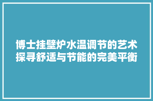 博士挂壁炉水温调节的艺术探寻舒适与节能的完美平衡 家电维护