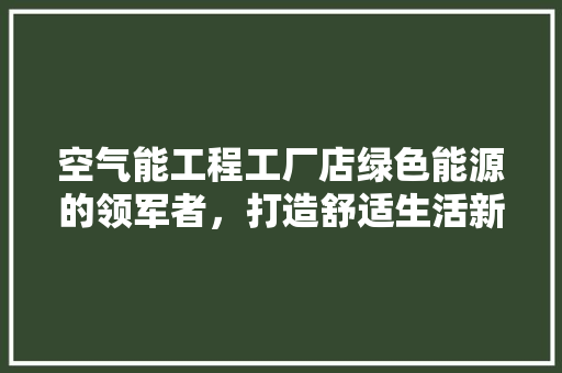 空气能工程工厂店绿色能源的领军者，打造舒适生活新标杆 热水器