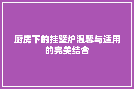 厨房下的挂壁炉温馨与适用的完美结合 洁具维修