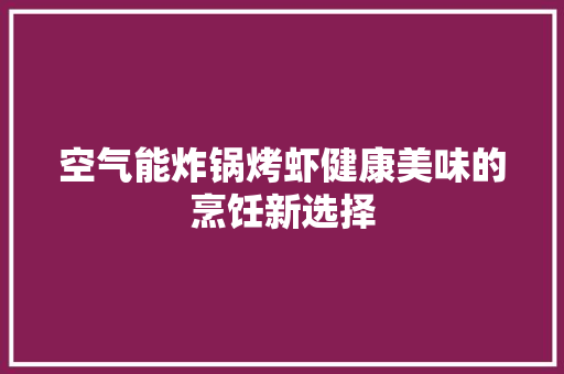 空气能炸锅烤虾健康美味的烹饪新选择 空调