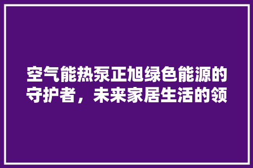 空气能热泵正旭绿色能源的守护者，未来家居生活的领航者 装修设计