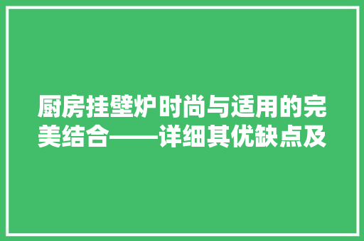 厨房挂壁炉时尚与适用的完美结合——详细其优缺点及使用体验 龙头管件