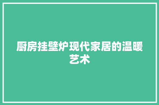 厨房挂壁炉现代家居的温暖艺术 局部翻新