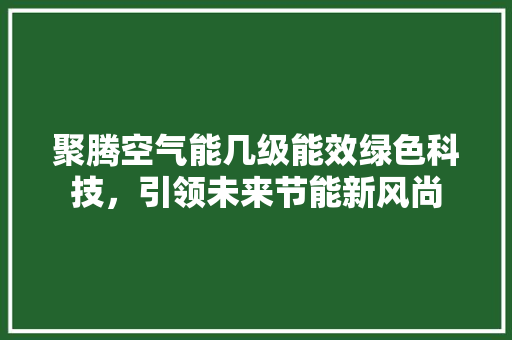 聚腾空气能几级能效绿色科技，引领未来节能新风尚 局部翻新