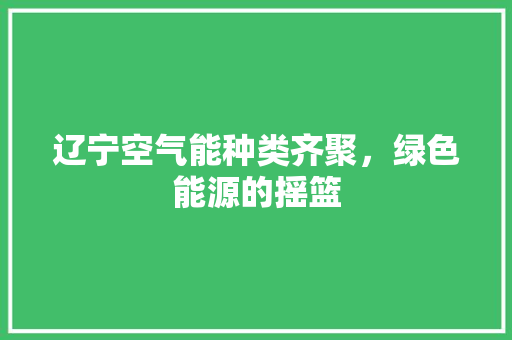 辽宁空气能种类齐聚，绿色能源的摇篮 翻新改色