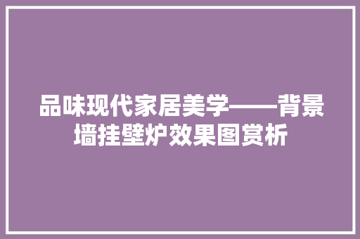品味现代家居美学——背景墙挂壁炉效果图赏析 空调
