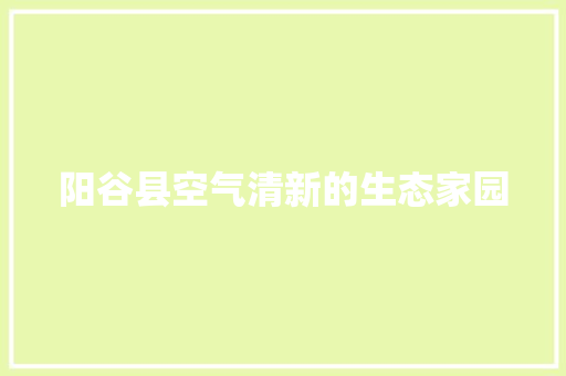 阳谷县空气清新的生态家园 家具修理