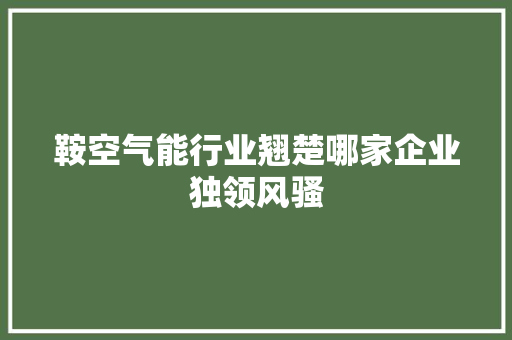 鞍空气能行业翘楚哪家企业独领风骚 灯具安装