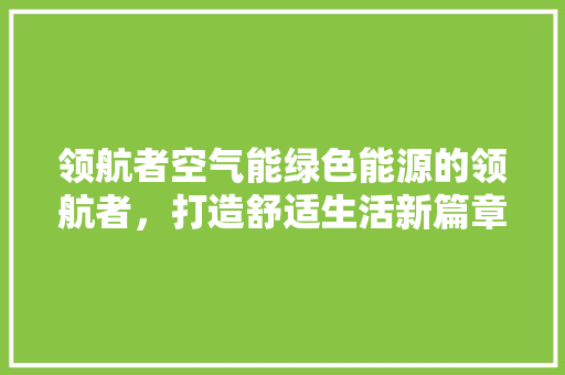 领航者空气能绿色能源的领航者，打造舒适生活新篇章 灯具安装