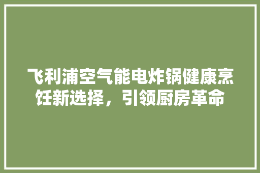 飞利浦空气能电炸锅健康烹饪新选择，引领厨房革命 局部翻新