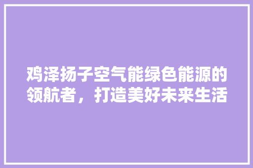 鸡泽扬子空气能绿色能源的领航者，打造美好未来生活 冰箱