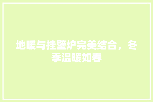 地暖与挂壁炉完美结合，冬季温暖如春 龙头管件