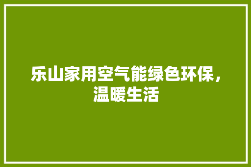 乐山家用空气能绿色环保，温暖生活 装修设计