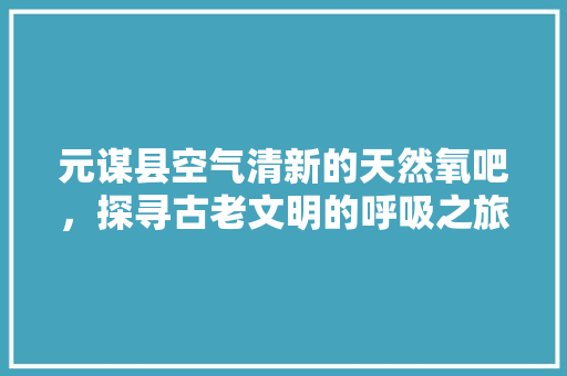元谋县空气清新的天然氧吧，探寻古老文明的呼吸之旅 洗衣机