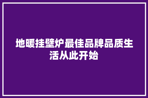 地暖挂壁炉最佳品牌品质生活从此开始 旧房改造