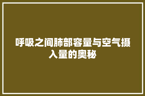 呼吸之间肺部容量与空气摄入量的奥秘 水电维修