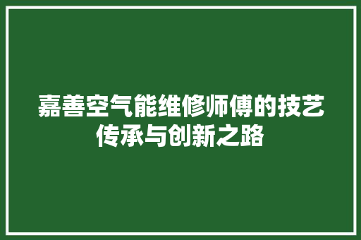嘉善空气能维修师傅的技艺传承与创新之路 家居维修