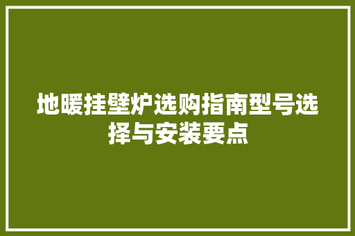 地暖挂壁炉选购指南型号选择与安装要点 清洁保养