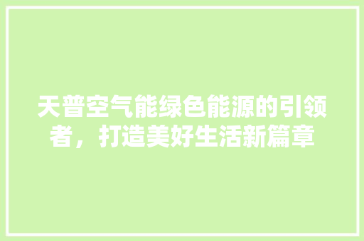 天普空气能绿色能源的引领者，打造美好生活新篇章 洗衣机