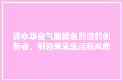 徐永华空气能绿色能源的创新者，引领未来生活新风尚 空调