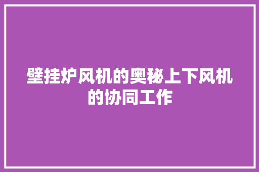 壁挂炉风机的奥秘上下风机的协同工作 水电维修