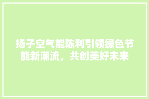 扬子空气能陈利引领绿色节能新潮流，共创美好未来 旧房改造