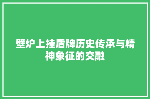 壁炉上挂盾牌历史传承与精神象征的交融 旧房改造