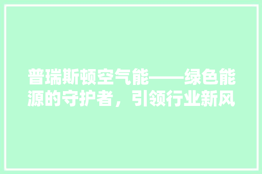 普瑞斯顿空气能——绿色能源的守护者，引领行业新风尚 热水器