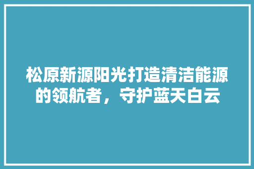 松原新源阳光打造清洁能源的领航者，守护蓝天白云 热水器