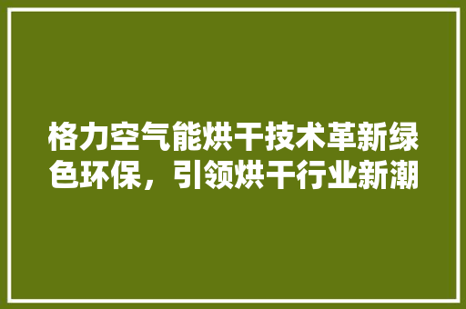 格力空气能烘干技术革新绿色环保，引领烘干行业新潮流 热水器