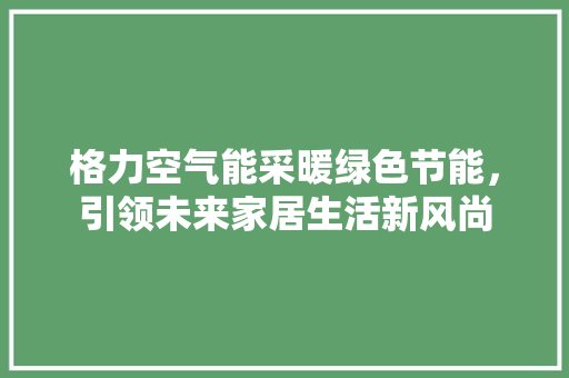 格力空气能采暖绿色节能，引领未来家居生活新风尚 水电维修