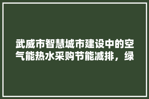 武威市智慧城市建设中的空气能热水采购节能减排，绿色发展 洗衣机