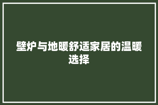 壁炉与地暖舒适家居的温暖选择 冰箱